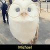 michael2hawks
